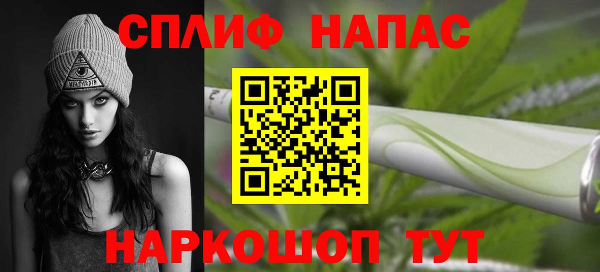 Каннабис сатива Кингисепп